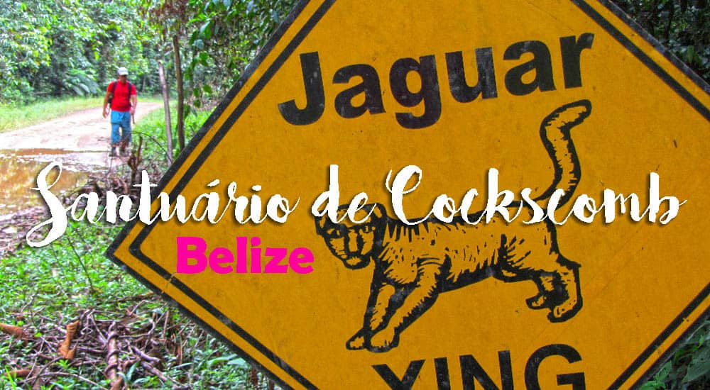 Visitar COCKSCOMB desde Dandriga - Um santuário de Vida Selvagem | Belize