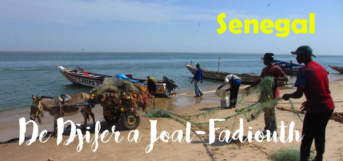De DJIFER a JOAL-FADIOUTH, uma área deslumbrante de beleza e autenticidade na costa atlântica | Senegal