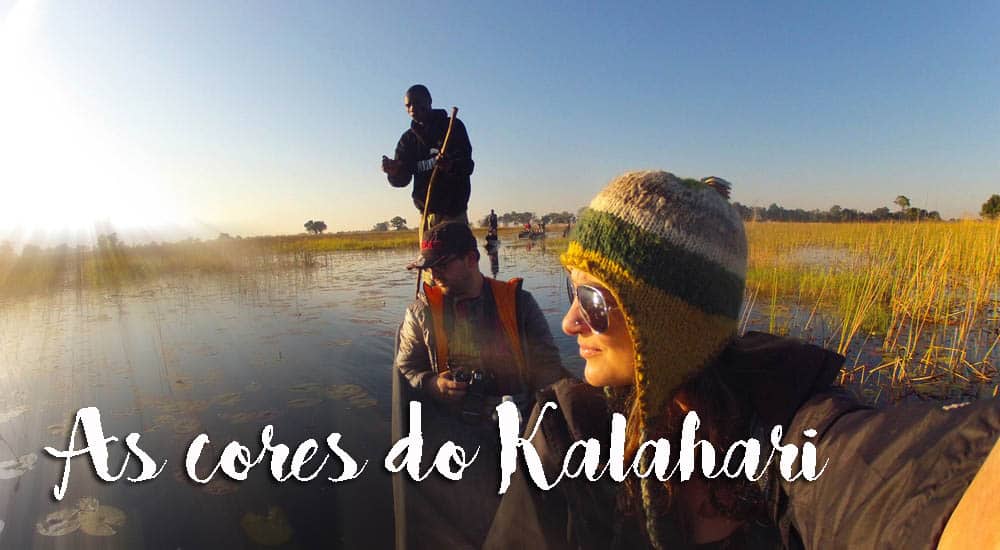 As CORES DO KALAHARI - O relato de uma aventura na África Austral | África (vídeo)