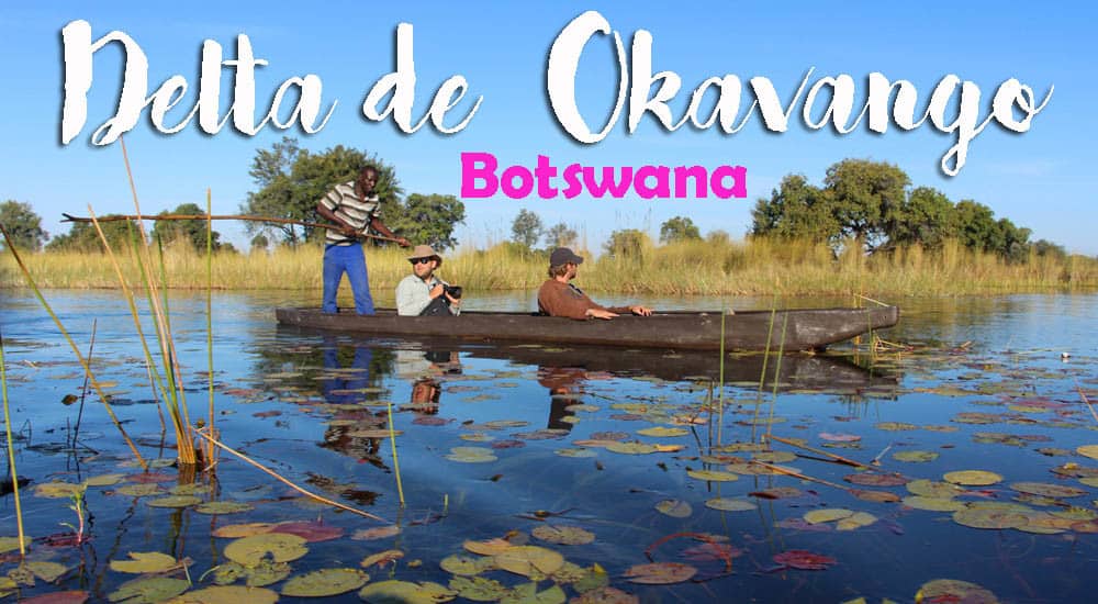Visitar o DELTA DE OKAVANGO e explorar os seus canais | Botswana
