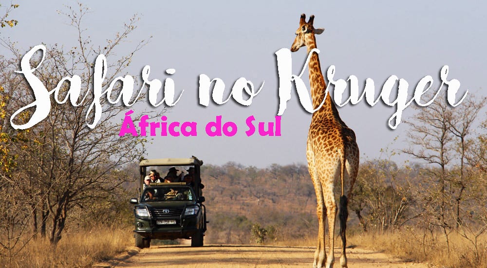 SAFARI NO KRUGER - Tudo o que precisa saber para um Safari no Parque Nacional de Kruger | África do Sul