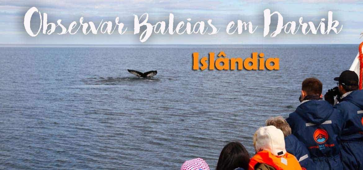 DALVIK - ISLÂNDIA | Um dos melhores locais para observar baleias